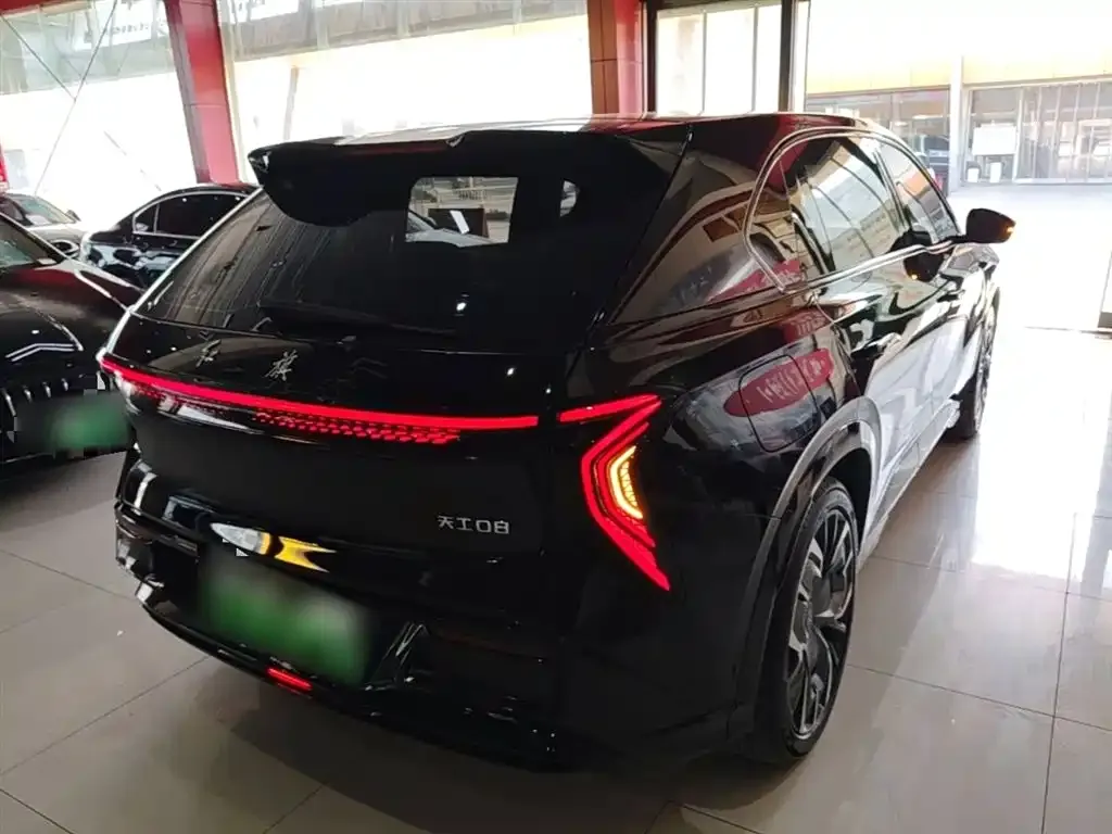 Hongqi Tiangong 08 2024 из CN, фото 8