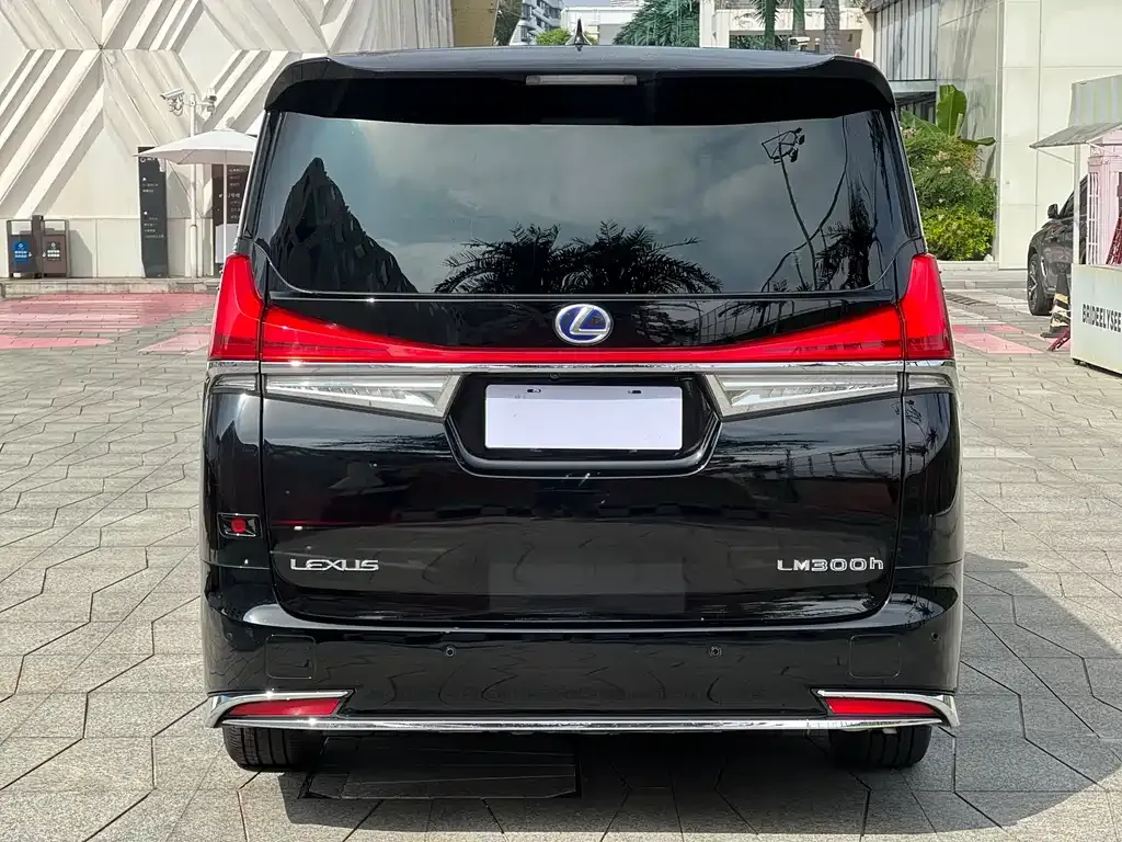 Lexus LM 2023 из CN, фото 9