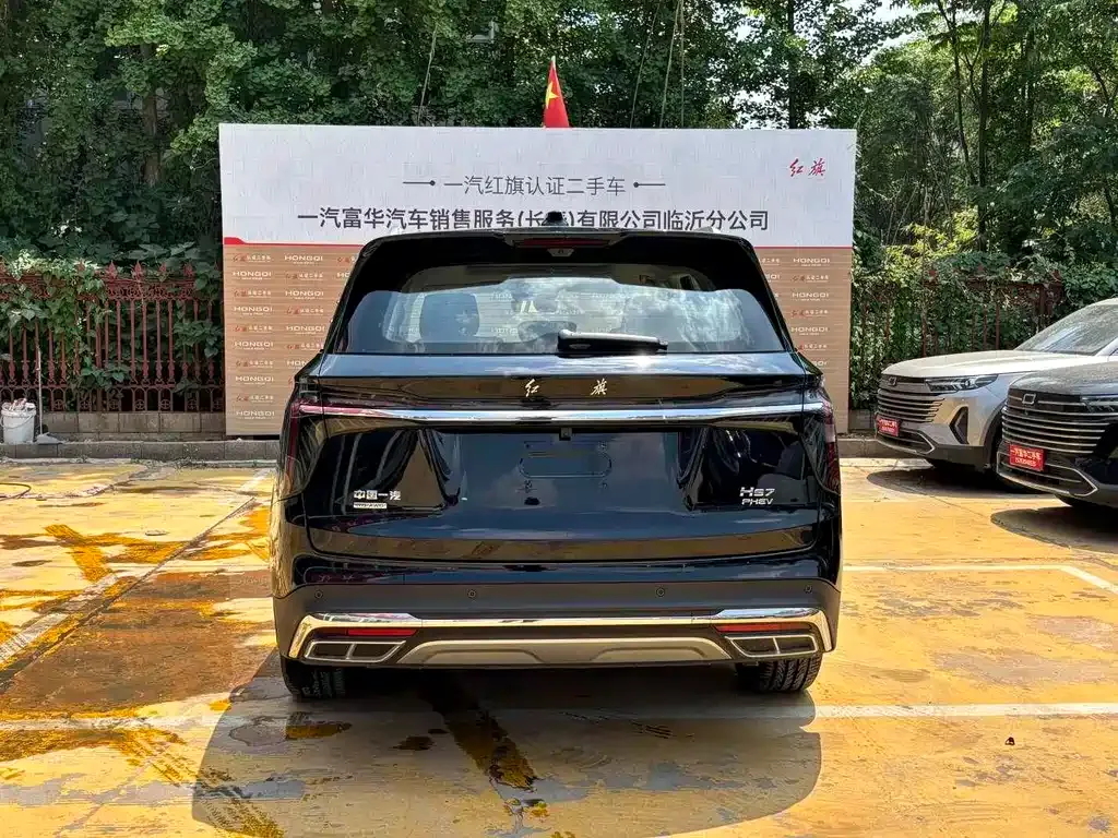 Hongqi HS7 PHEV 2024 из CN, фото 3