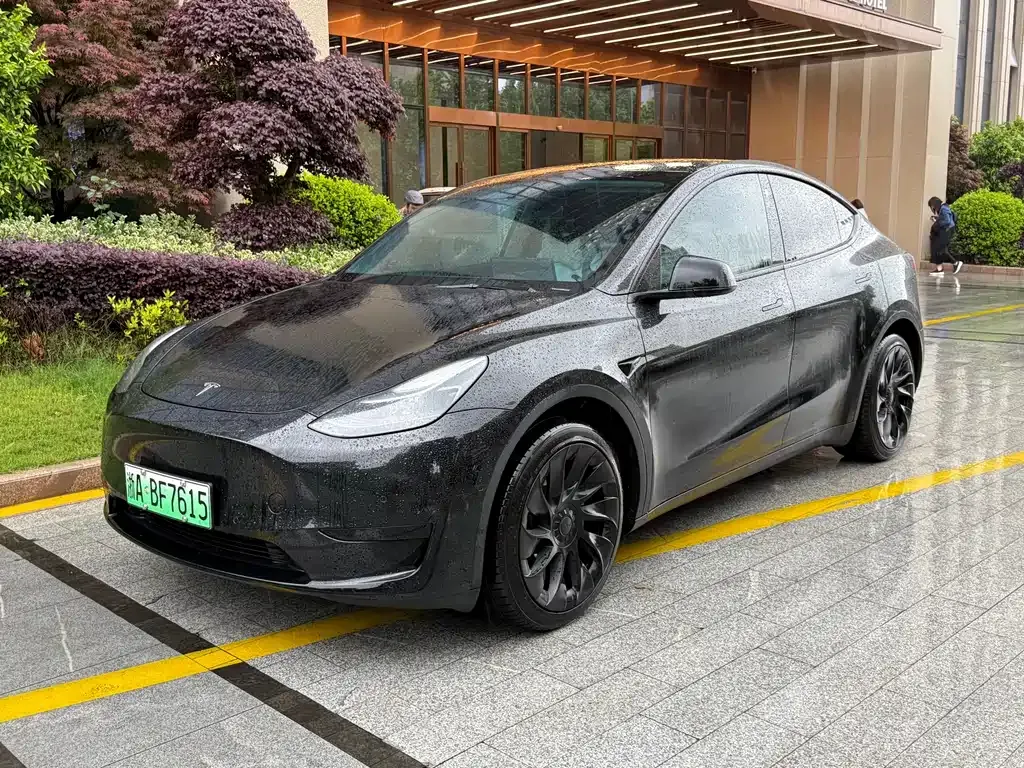 Tesla Model Y — фото 1
