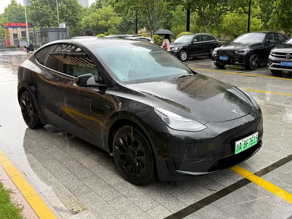 Tesla Model Y — фото 10