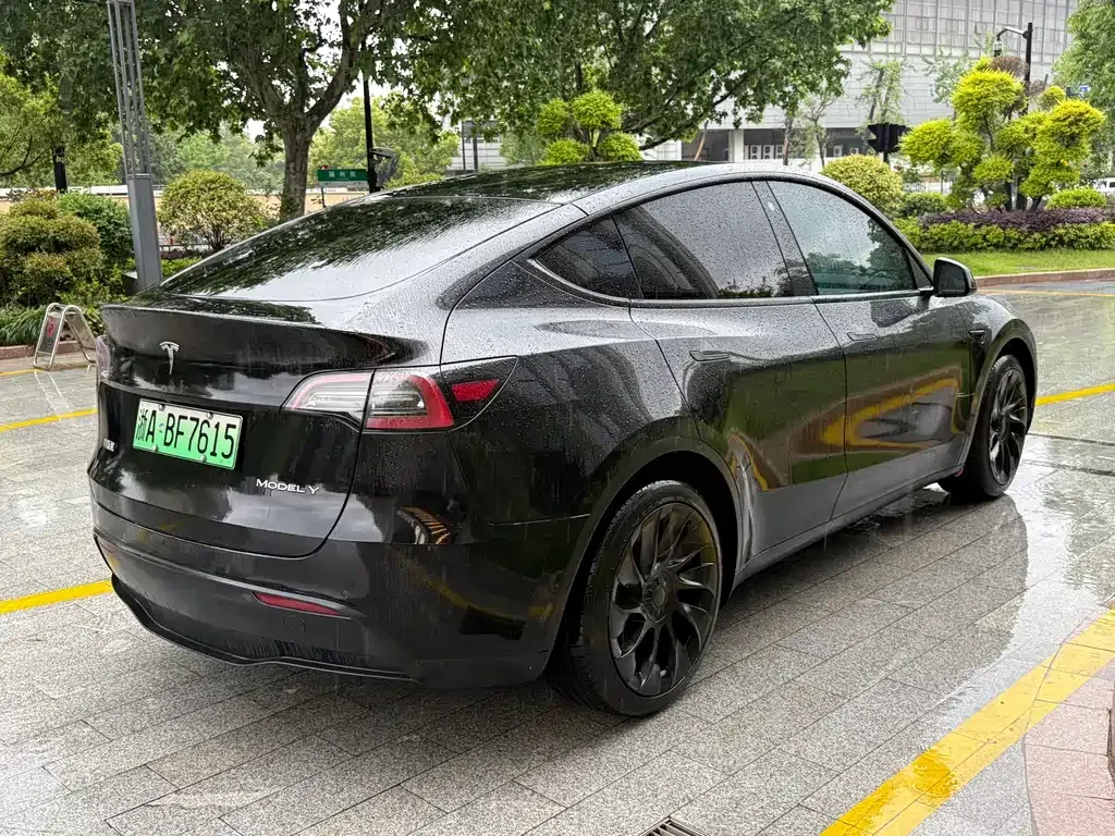 Tesla Model Y — фото 6