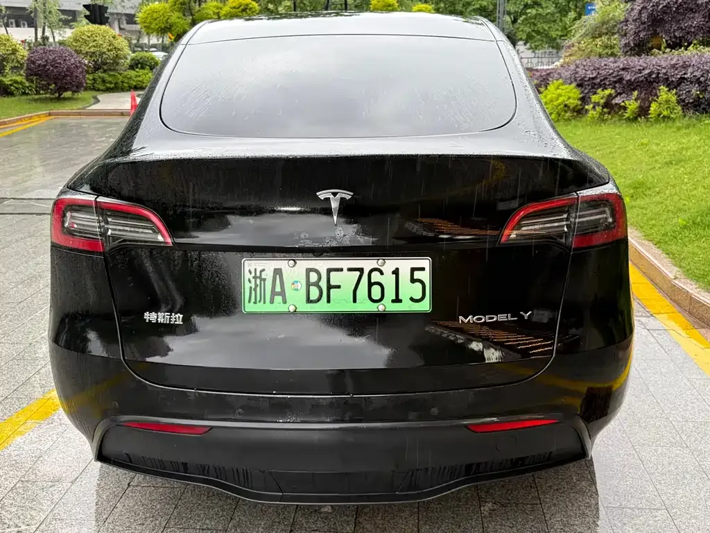 Tesla Model Y — фото 8
