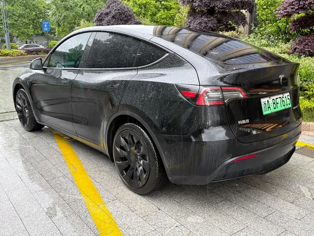 Tesla Model Y — фото 9