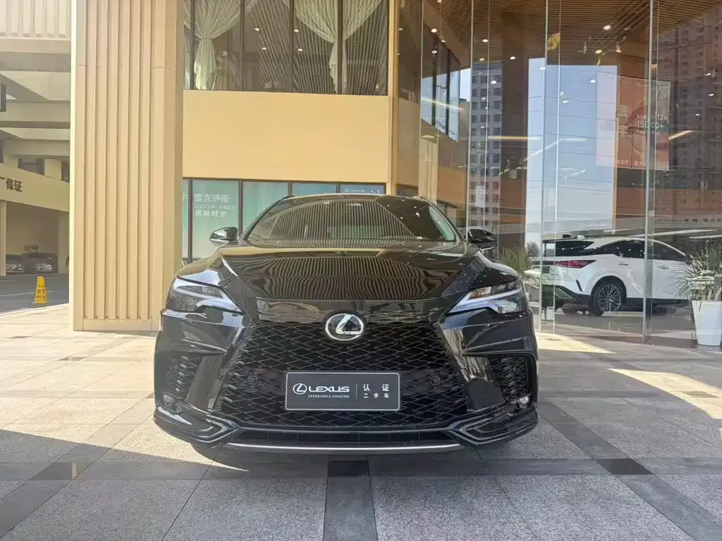 Lexus RX — фото 9