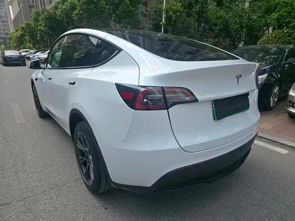 Tesla Model Y — фото 10