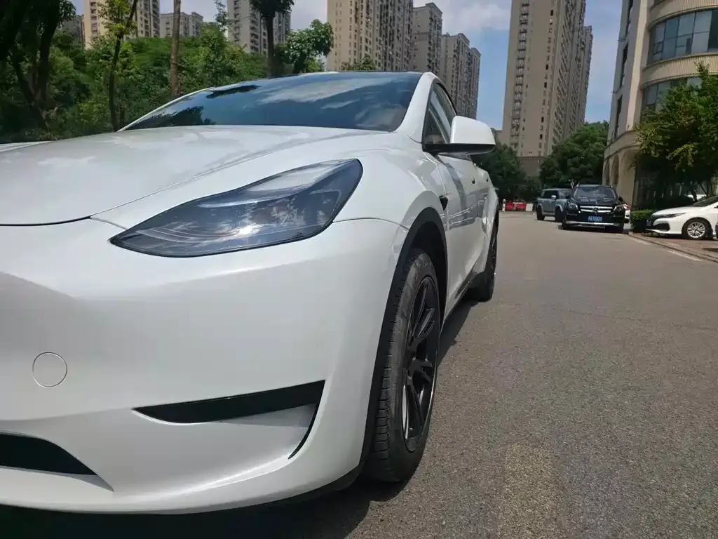 Tesla Model Y — фото 8