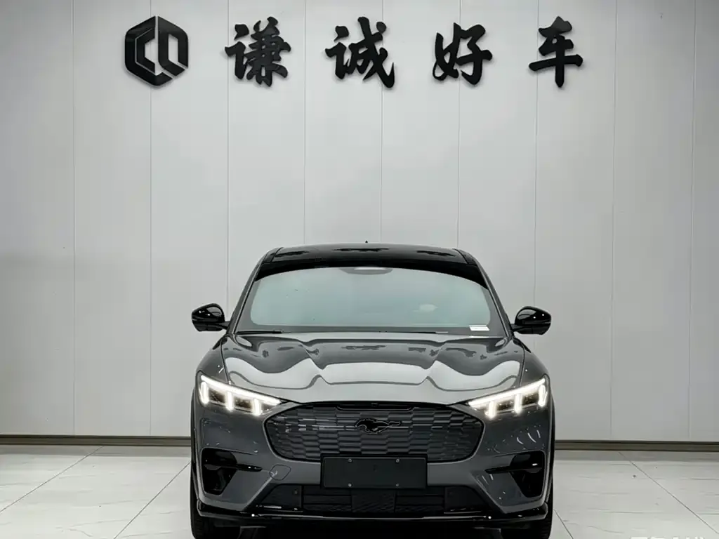 Ford Mustang Mach-E 2024 из CN, фото 2