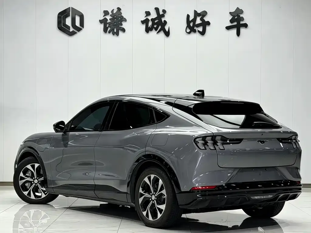 Ford Mustang Mach-E 2024 из CN, фото 9