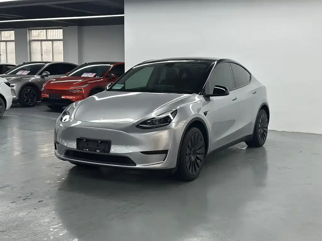 Tesla Model Y — фото 1