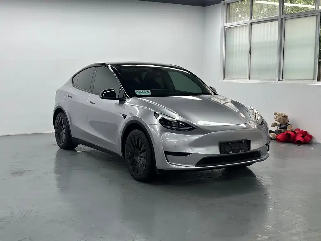 Tesla Model Y — фото 2