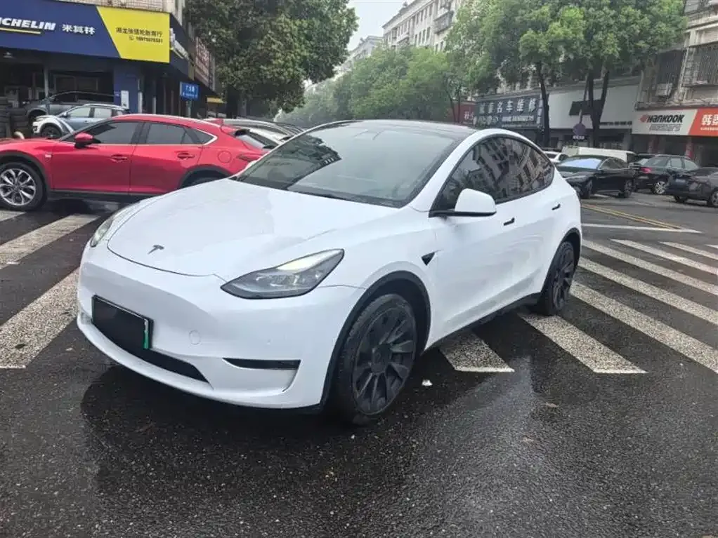 Tesla Model Y 2023 из CN, фото 1