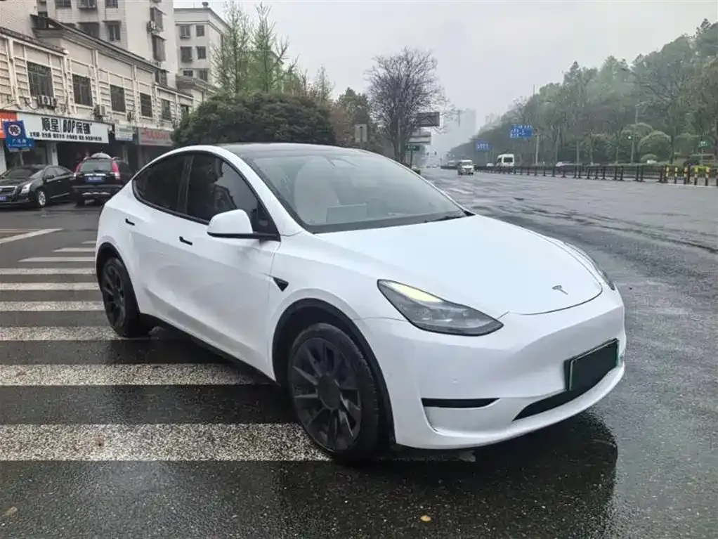 Tesla Model Y 2023 из CN, фото 5