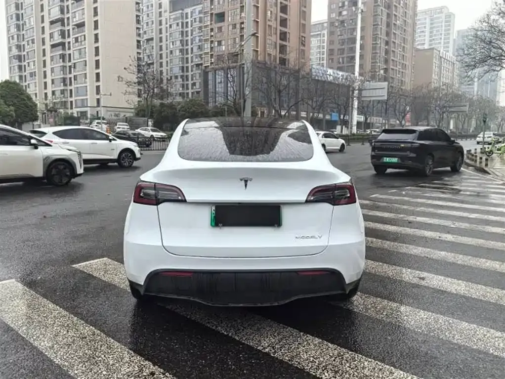 Tesla Model Y 2023 из CN, фото 10