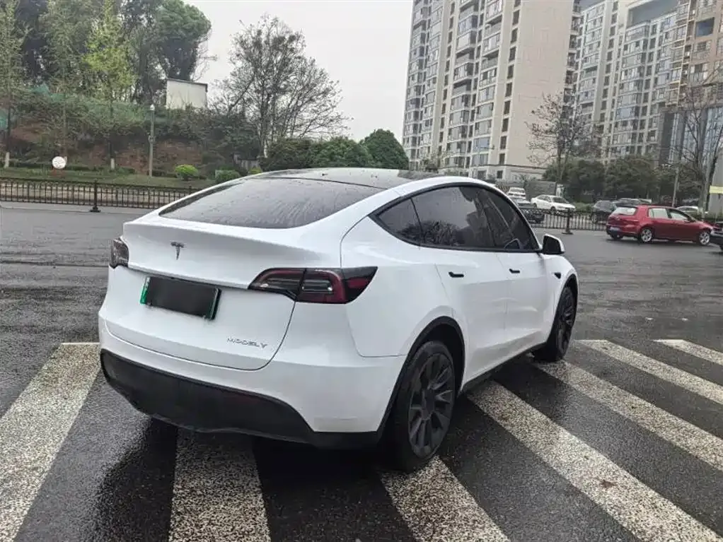 Tesla Model Y 2023 из CN, фото 4