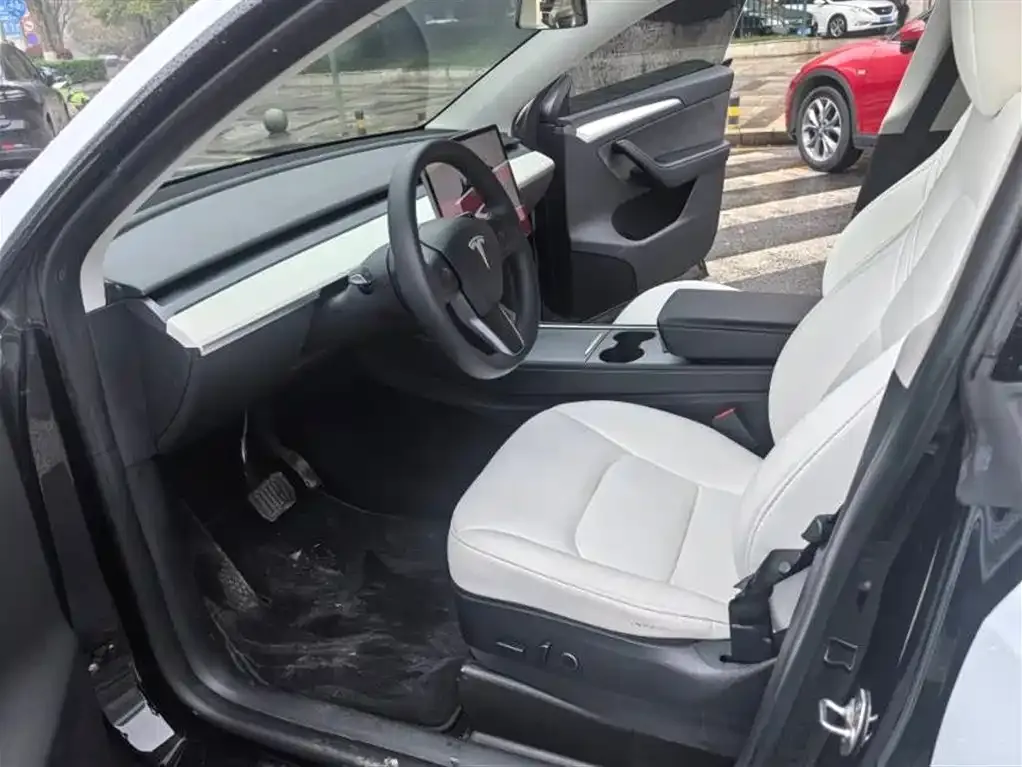 Tesla Model Y 2023 из CN, фото 6