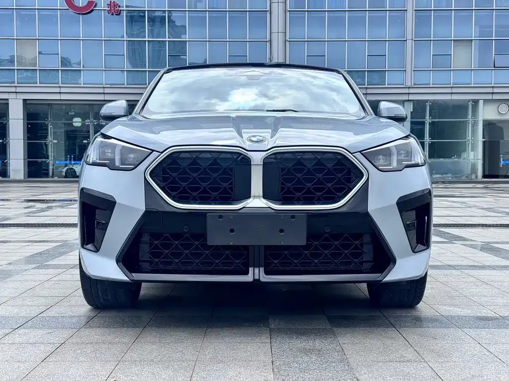 BMW X2 (Import) 2025 из CN, фото 6