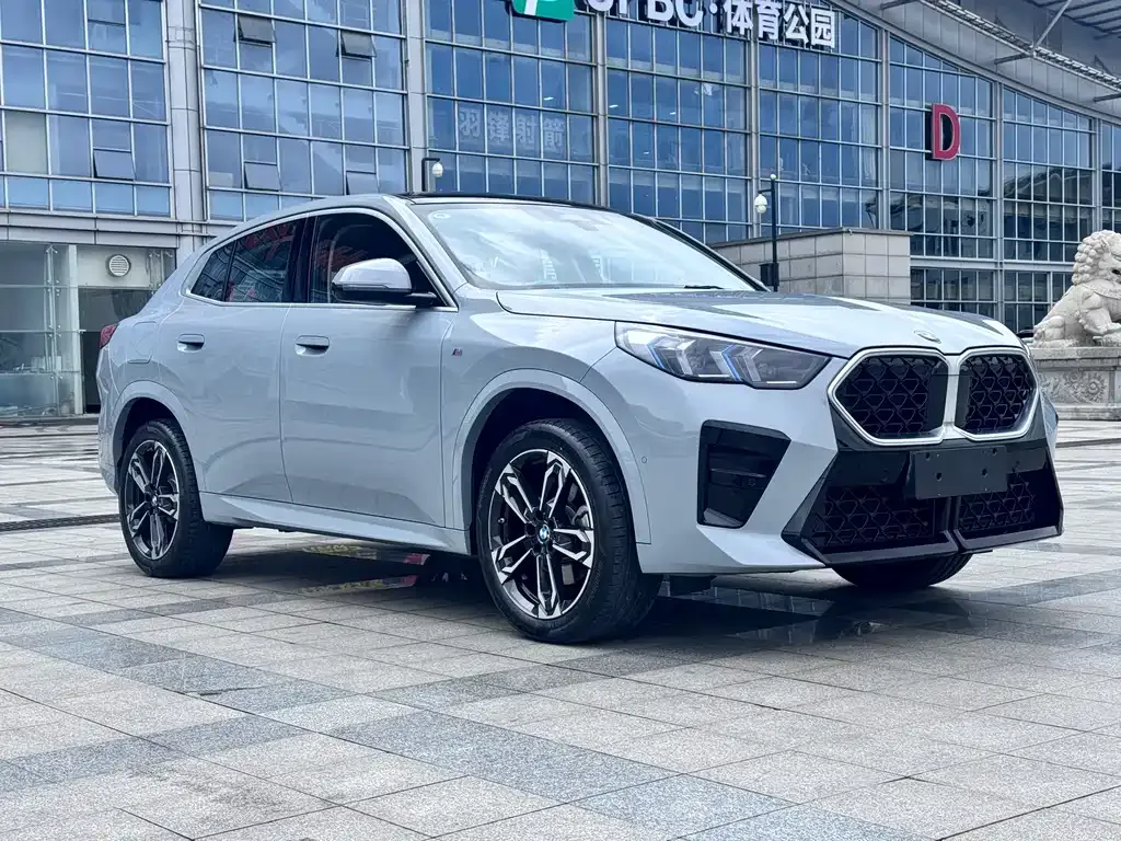 BMW X2 (Import) 2025 из CN, фото 8