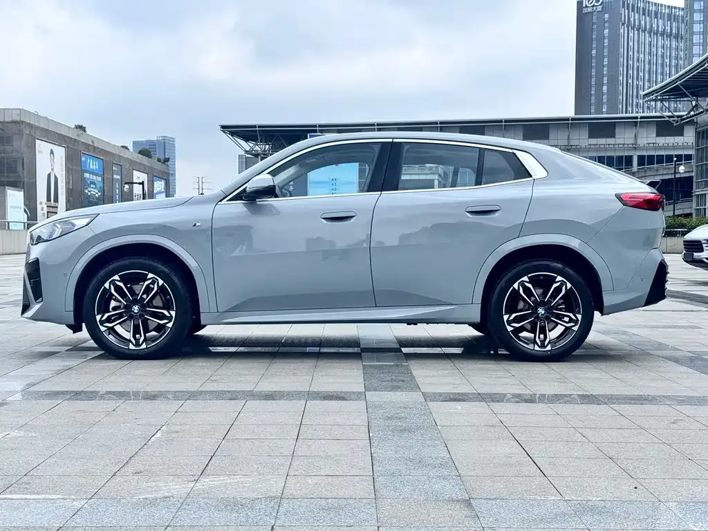 BMW X2 (Import) 2025 из CN, фото 9