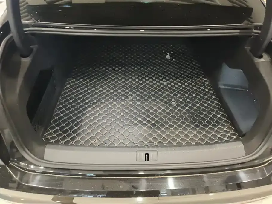 Volkswagen Phideon 2021 из CN, фото 6