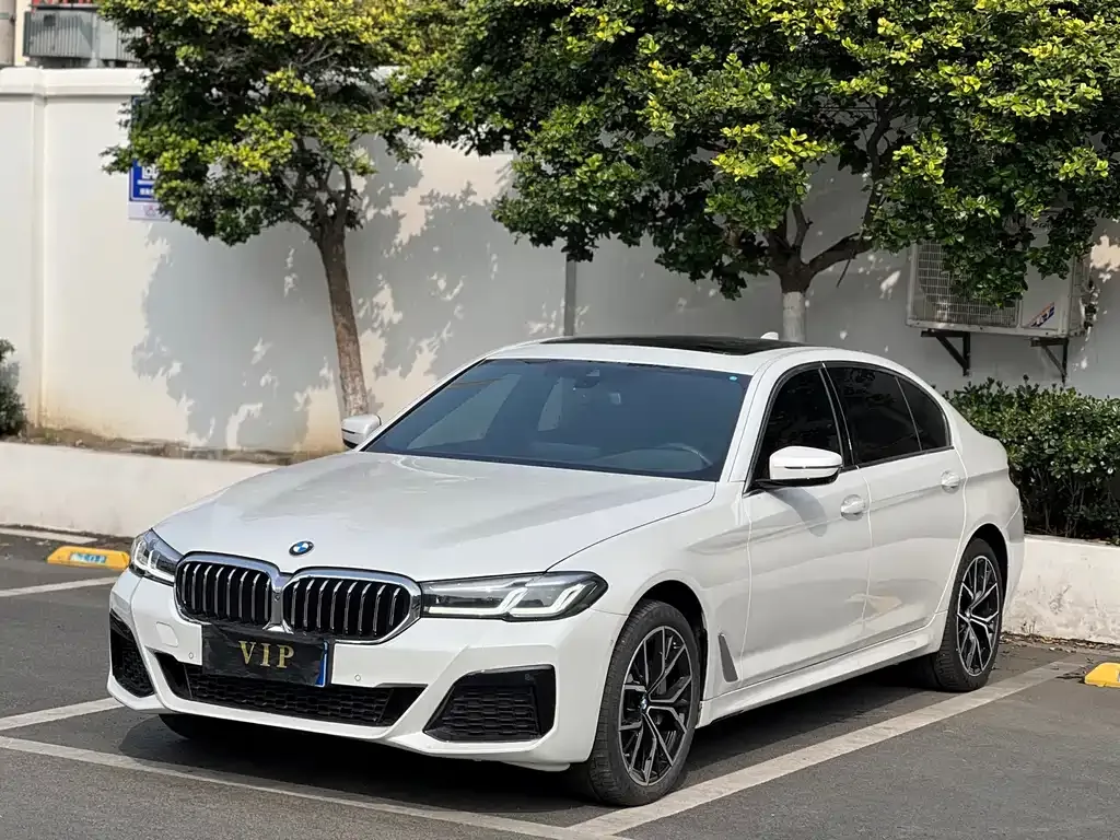 BMW 5 Series — фото 1