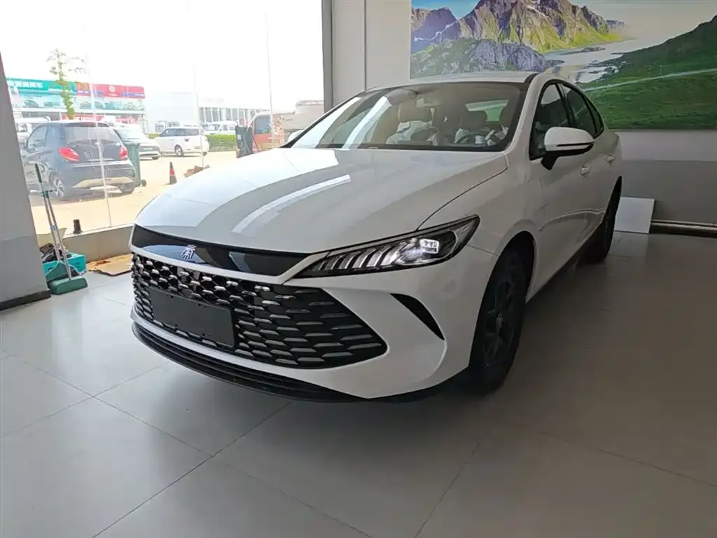 BYD Qin PLUS — фото 1