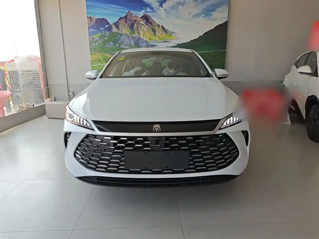 BYD Qin PLUS — фото 9
