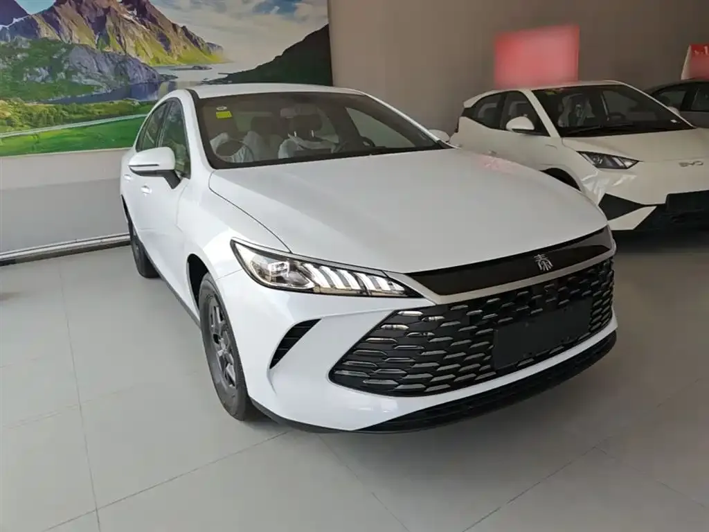 BYD Qin PLUS — фото 8