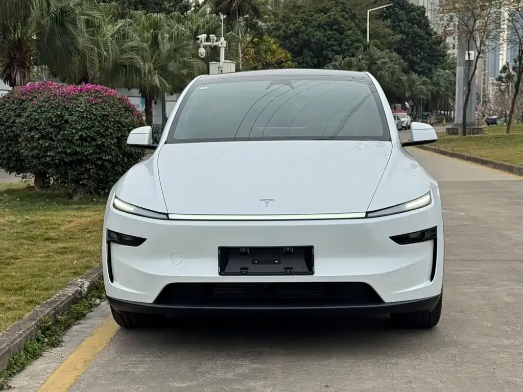 Tesla Model Y — фото 10