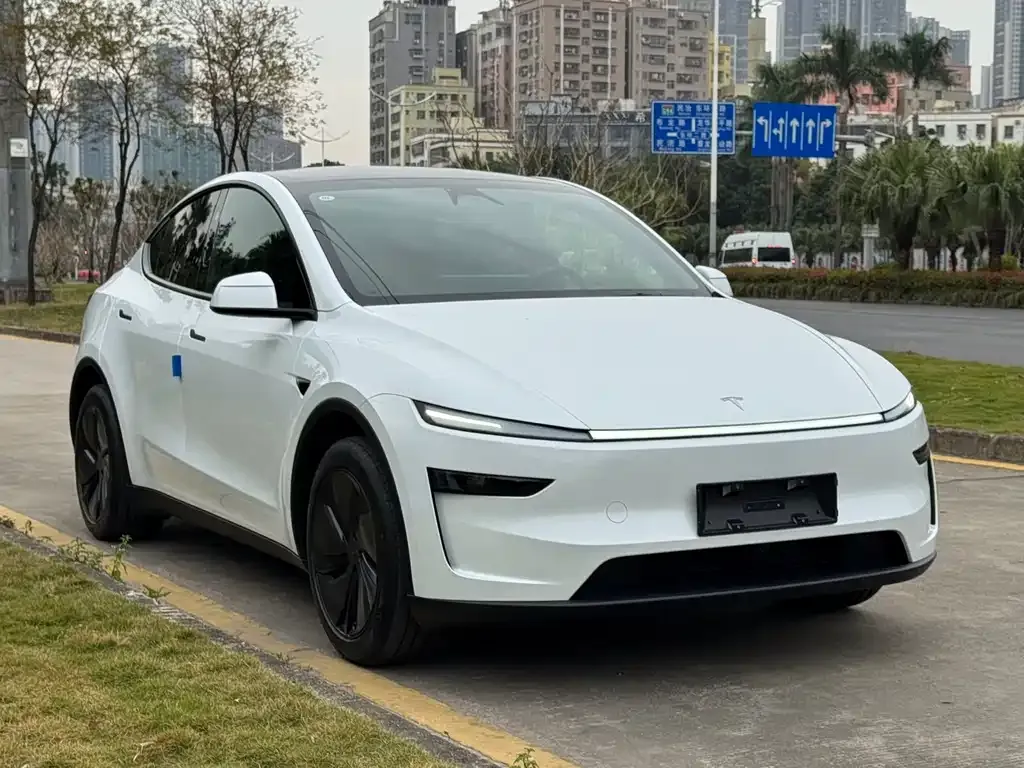 Tesla Model Y — фото 9
