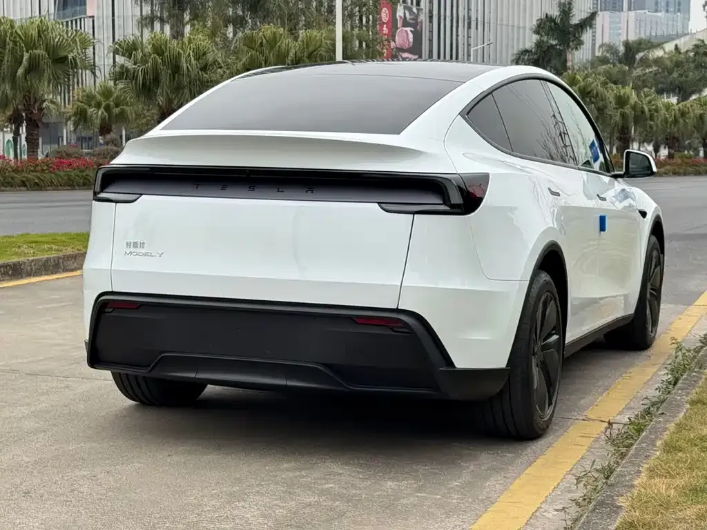 Tesla Model Y — фото 3