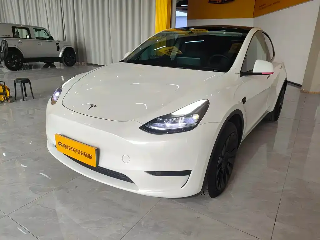 Tesla Model Y — фото 1
