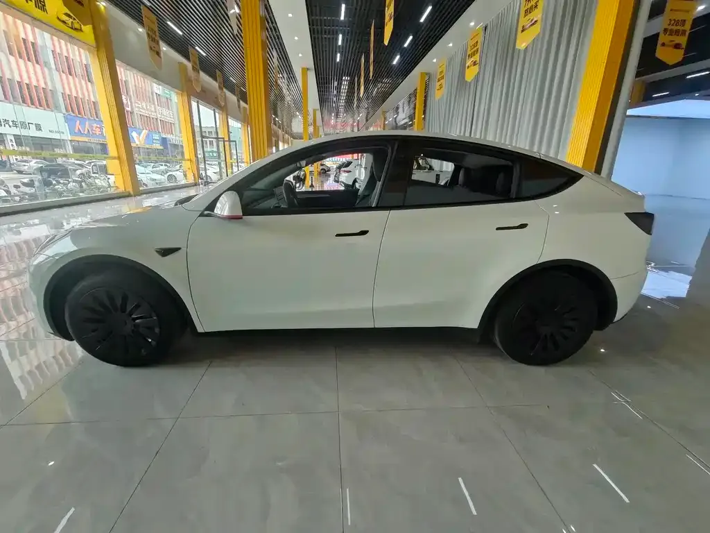 Tesla Model Y — фото 10