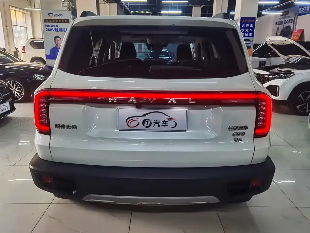 Haval Big Dog — фото 8