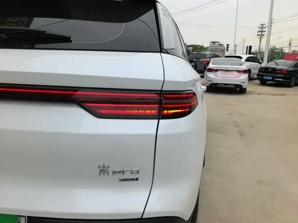 BYD Pro New Energy — фото 4