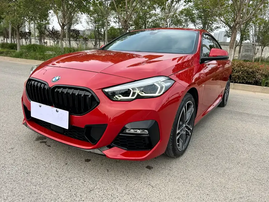 BMW 2 Series (Import) — фото 1