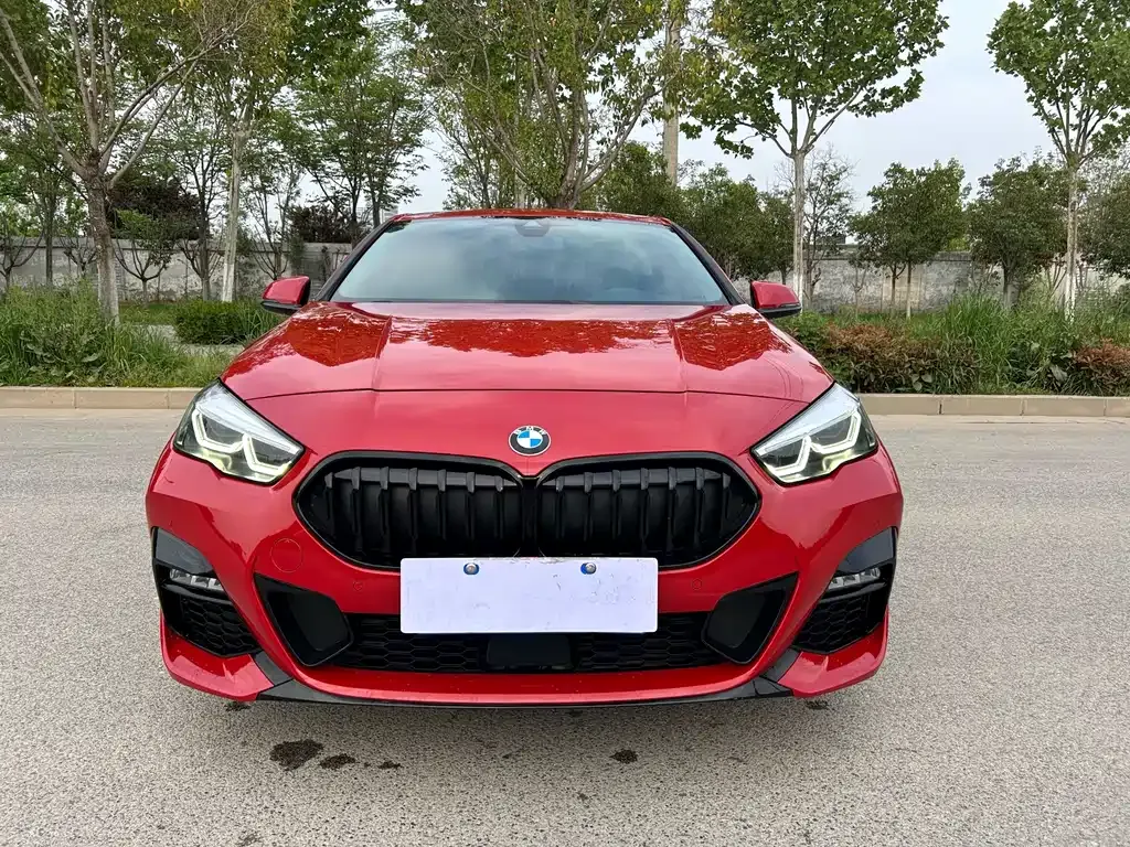 BMW 2 Series (Import) — фото 10