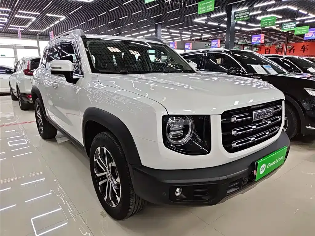 Haval Big Dog — фото 10