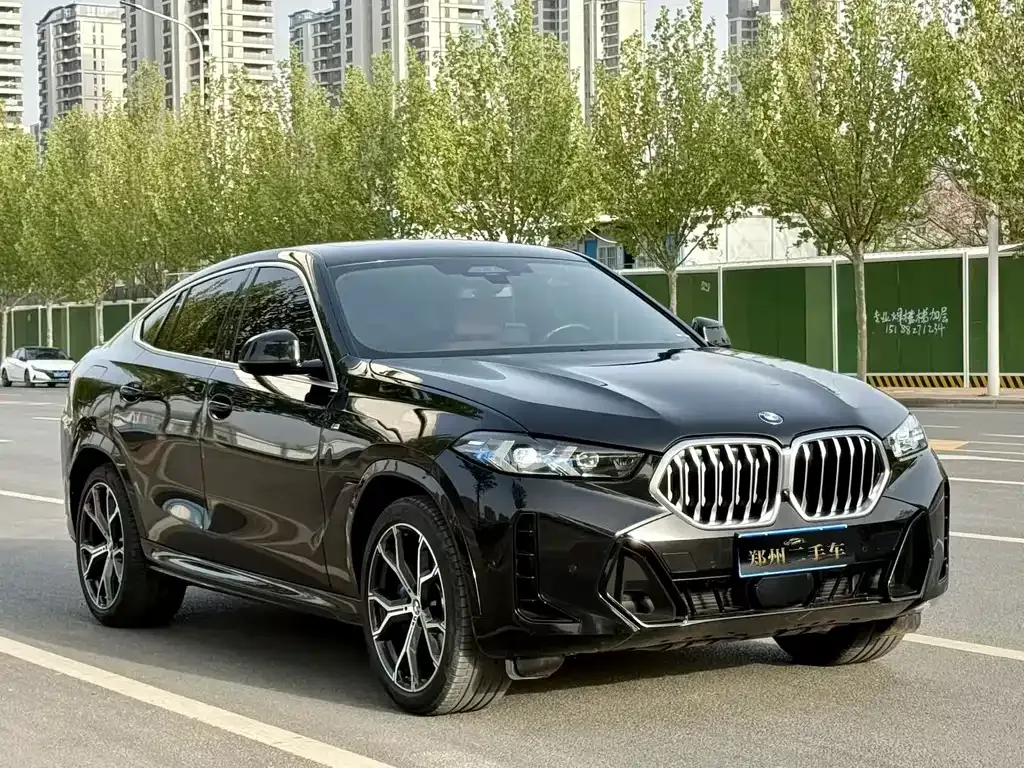 BMW X6 — фото 9