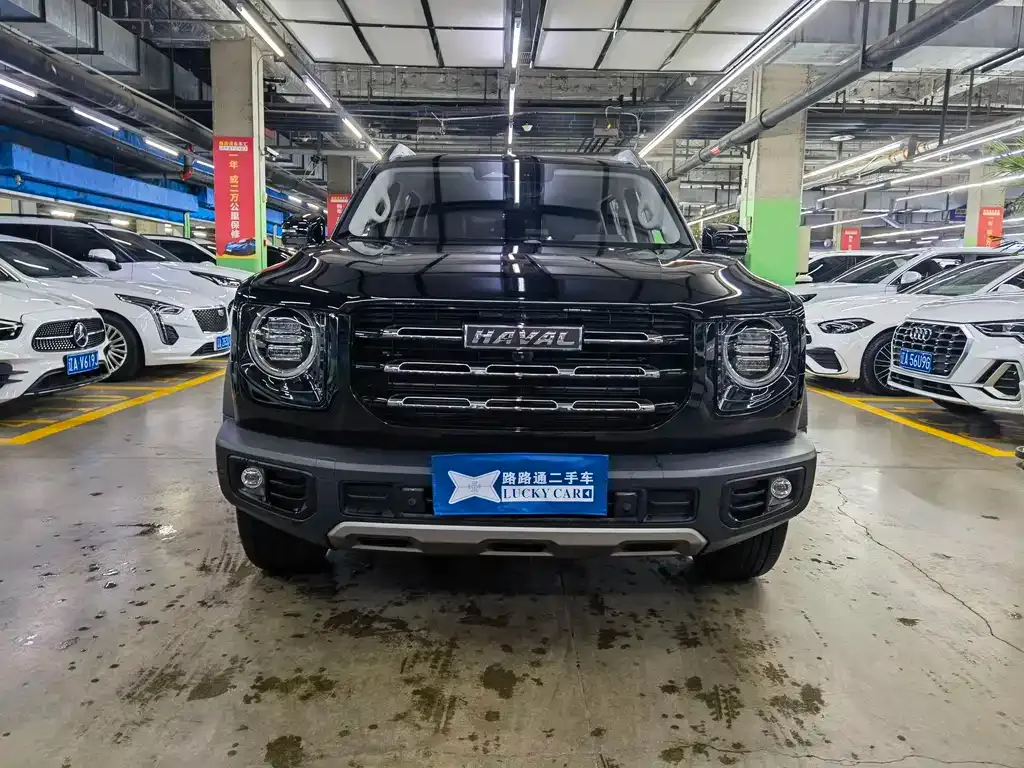 Haval Big Dog — фото 10