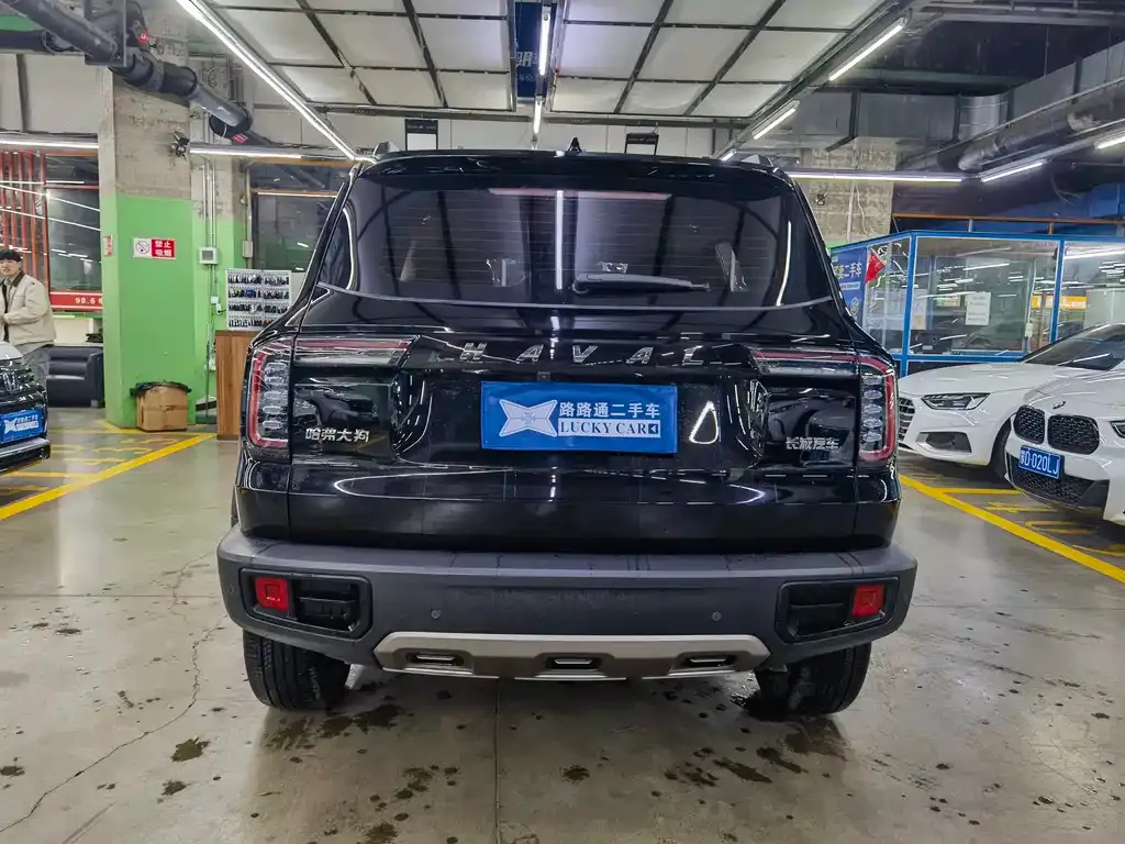 Haval Big Dog — фото 3