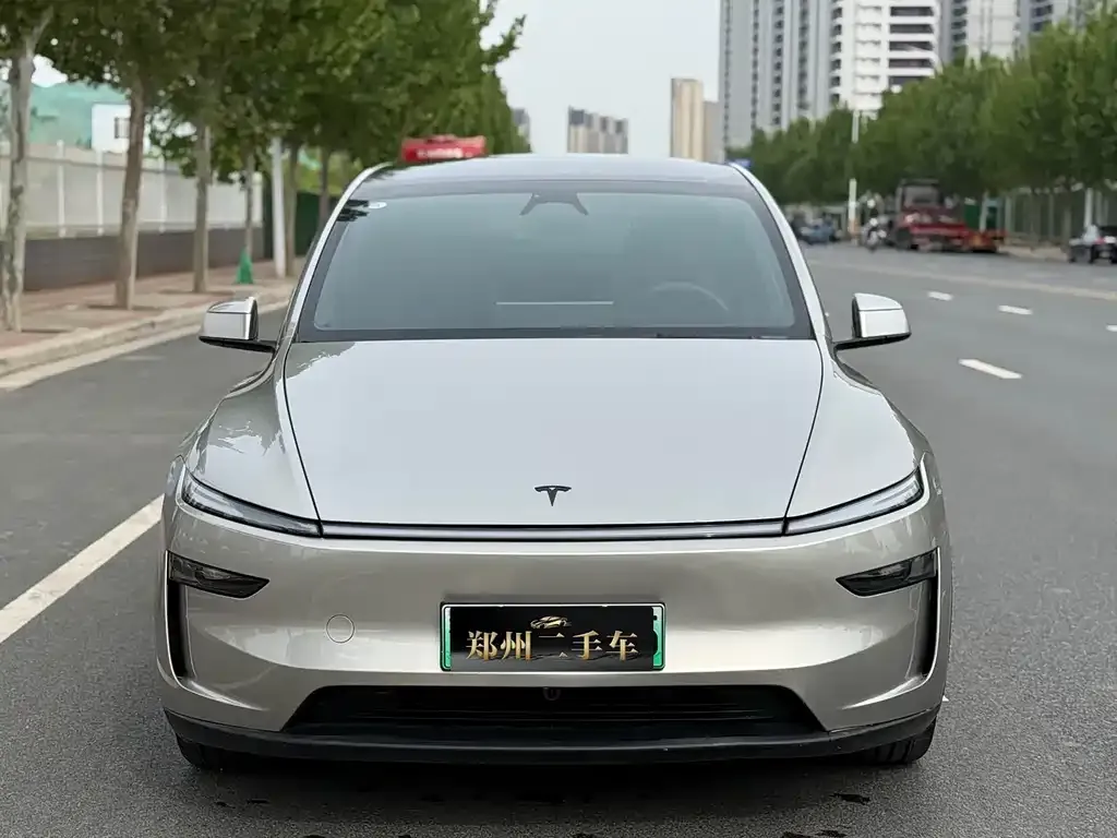 Tesla Model Y L 2025 из CN, фото 8
