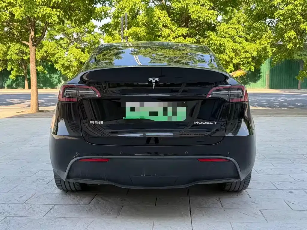 Tesla Model Y 2022 из CN, фото 9