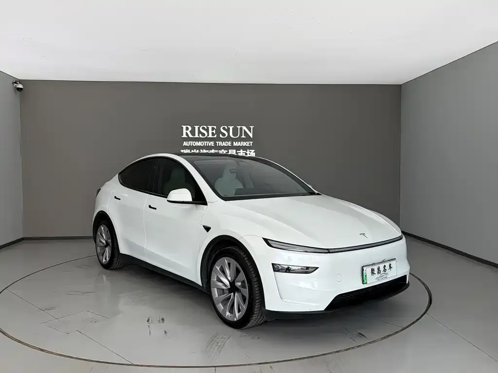 Tesla Model Y — фото 10