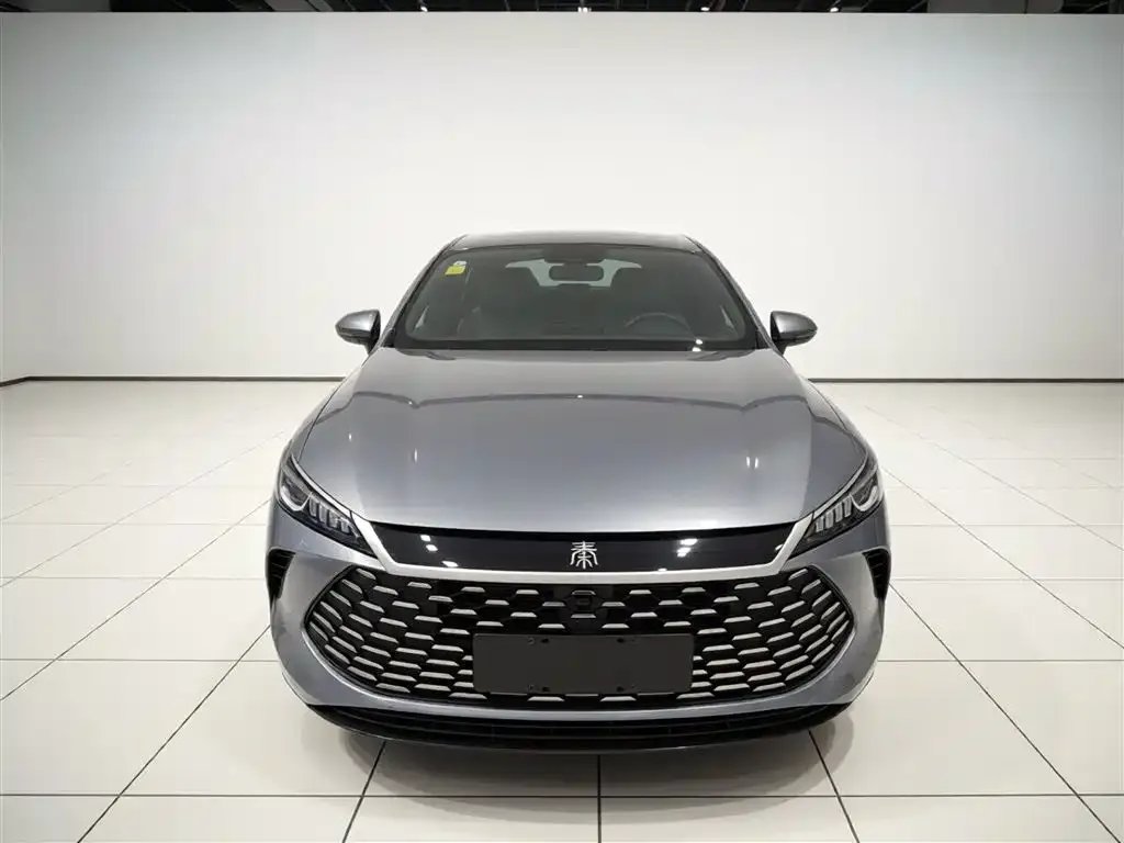 BYD Qin PLUS — фото 2