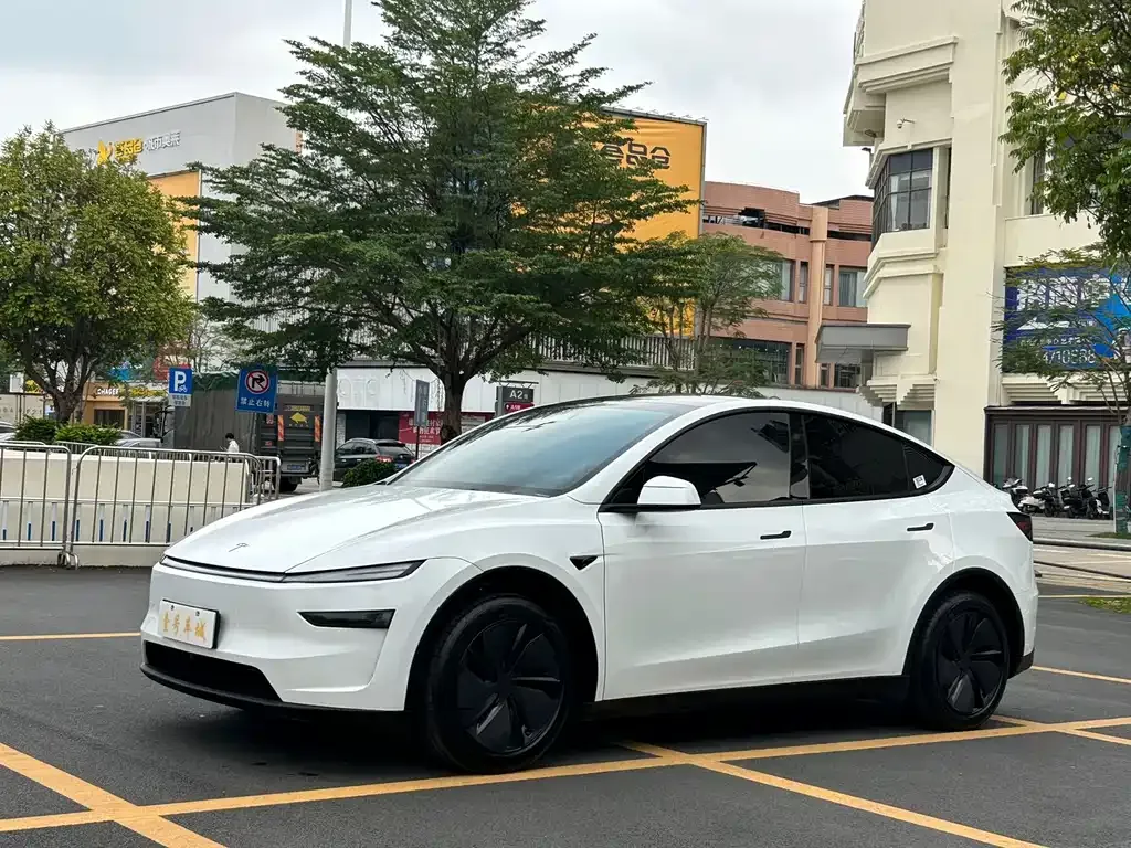 Tesla Model Y — фото 6