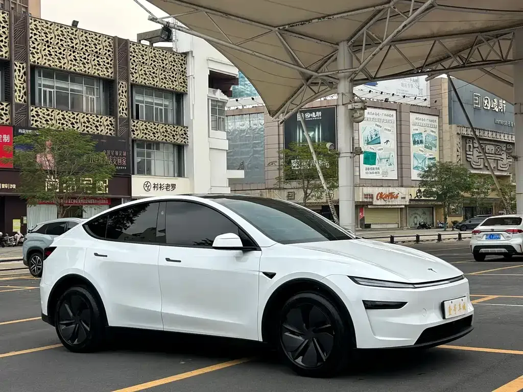 Tesla Model Y — фото 8