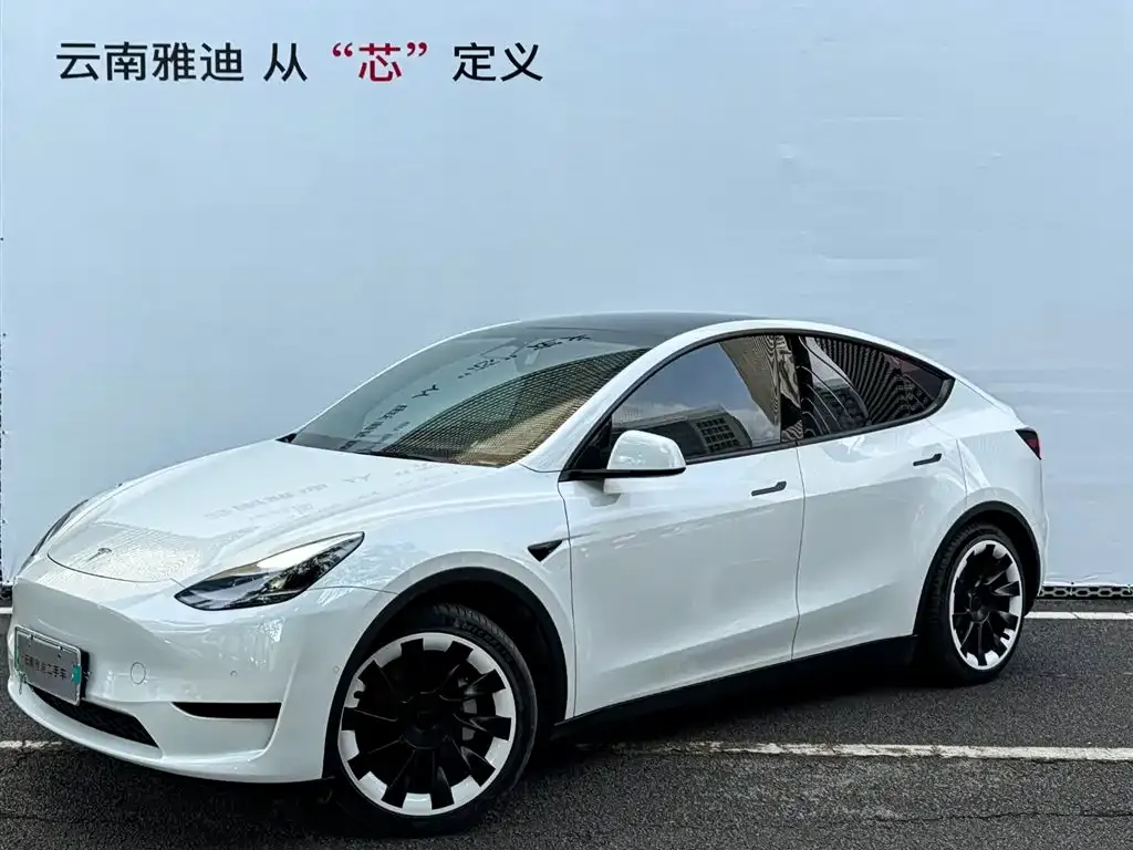 Tesla Model Y — фото 1