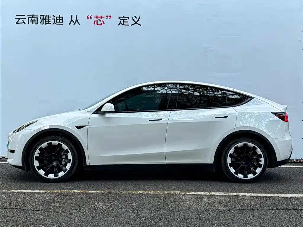 Tesla Model Y — фото 9
