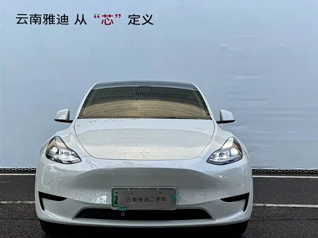 Tesla Model Y — фото 8